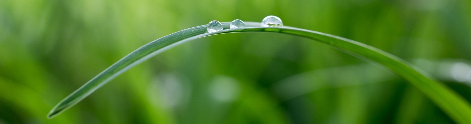 Pourquoi l’Autocompassion est plus saine que l’estime de soi